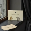 Golden and silver star-shaped stud earrings are fashionable, simple and versatile details Picture